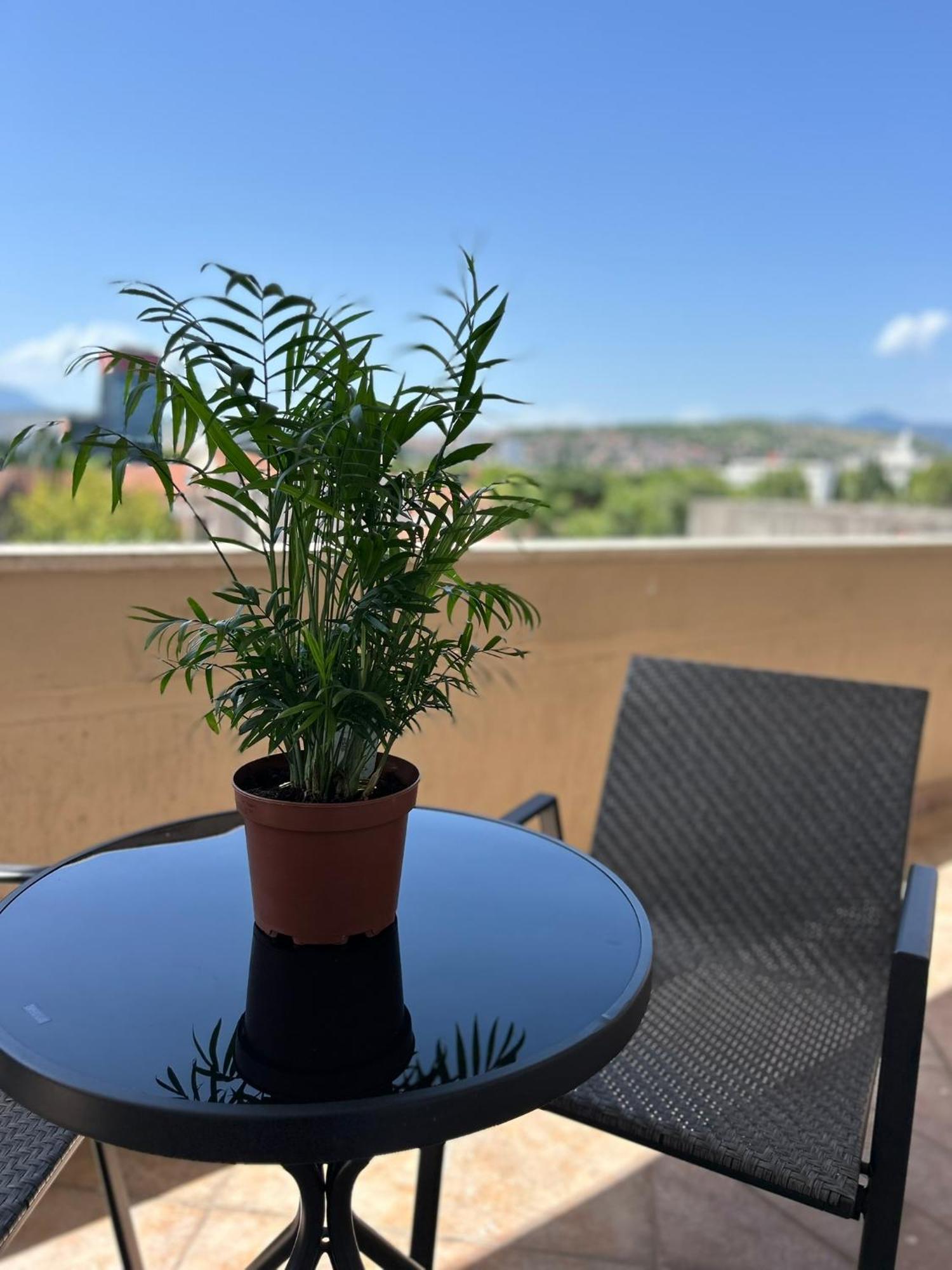 Hotel 201 Podgorica Buitenkant foto